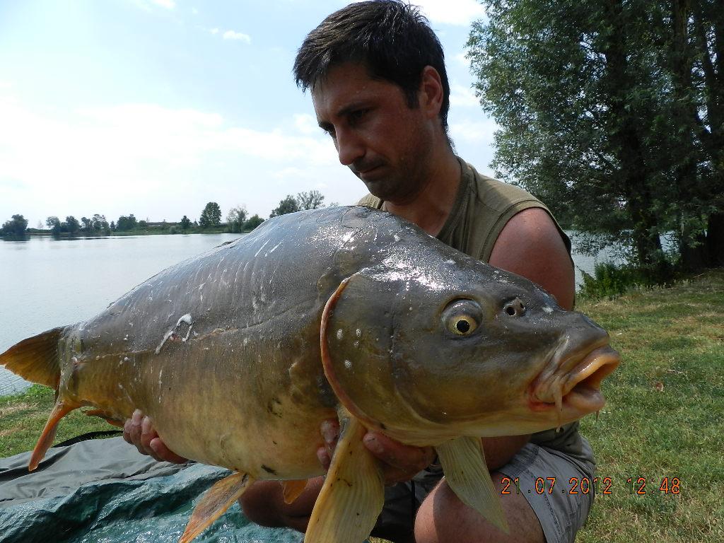 FOTO CARPFISHING - raul-407.JPG